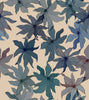 Clematis Indigo