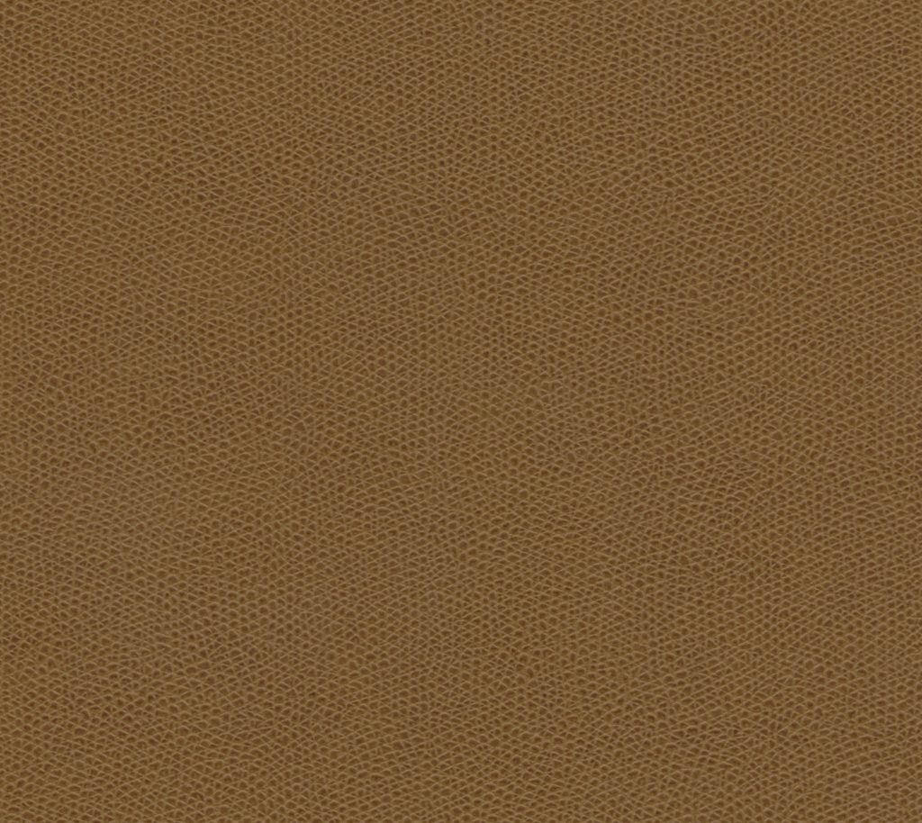 Sunstone - Cashew Wallcovering | Phillipe Romano