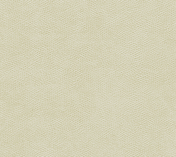 Coachella - CrèMe Fraiche | Commercial Fabric | Los Angeles Fabrics