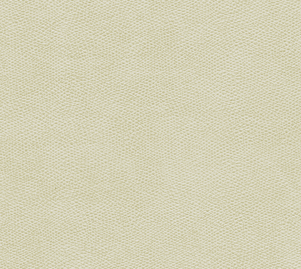 Coachella - CrèMe Fraiche | Commercial Fabric | Los Angeles Fabrics