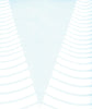 CONES - Celerie - Image 4