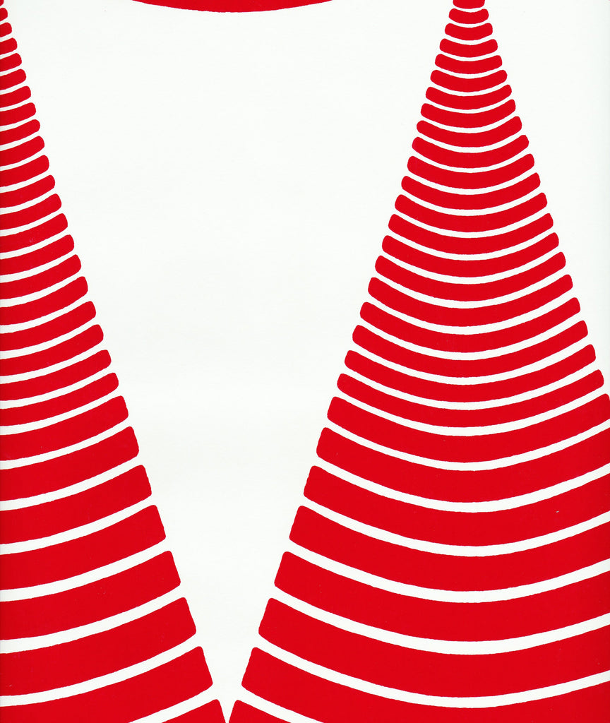 CONES - Celerie - Image 7