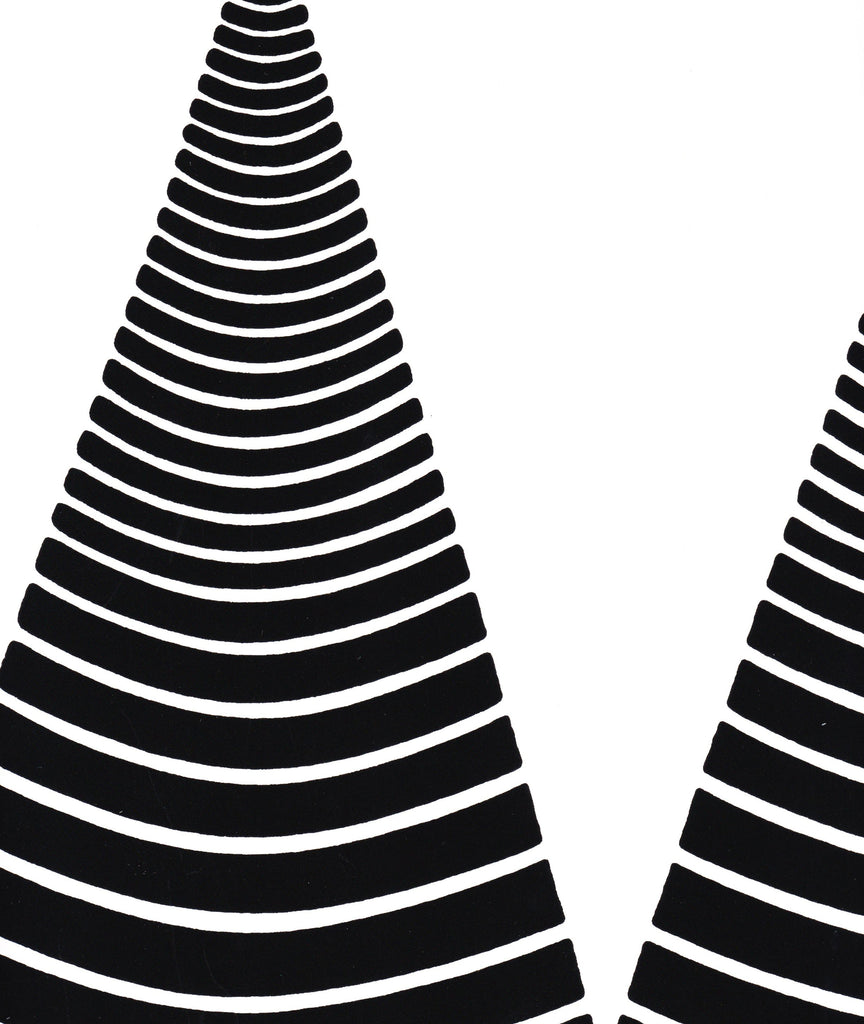 CONES - Celerie - Image 9