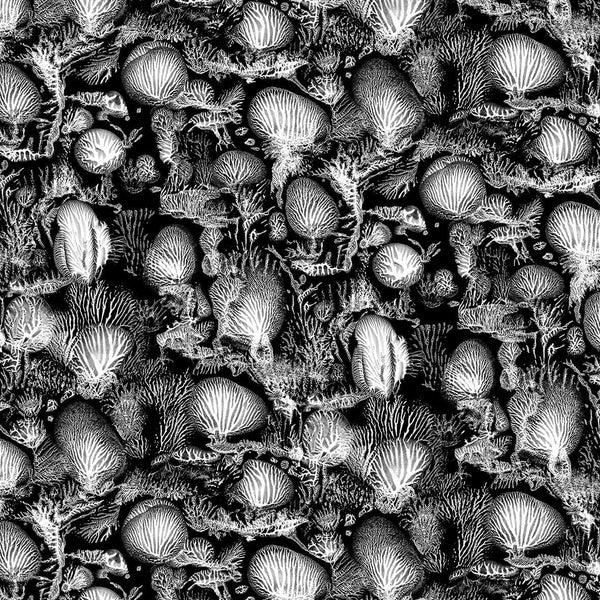 Coral Blotch Cork Black | Timorous Beasties Wallcovering