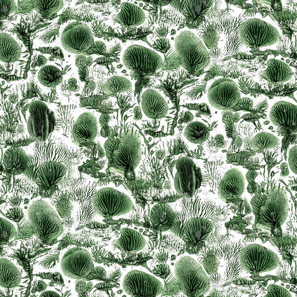 Coral Blotch Cork Original