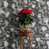 Coral Blotch Cork Black
