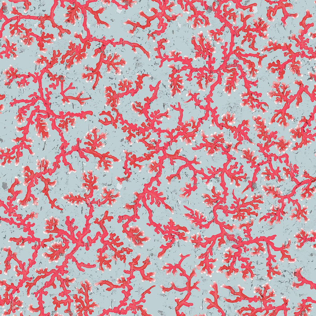 Coral Cork Pale Blue