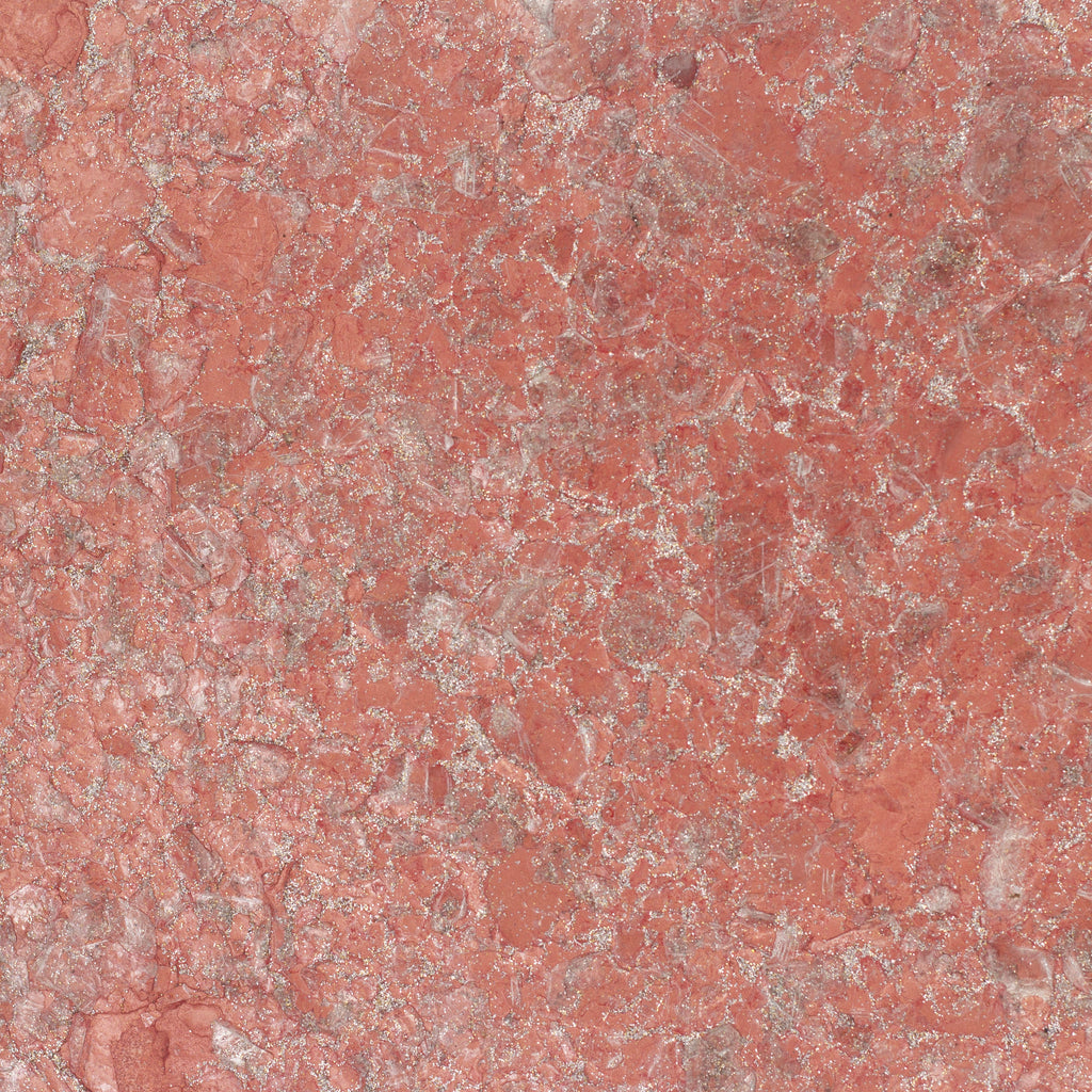 Crystalline Embellished Anthozoa Embellished