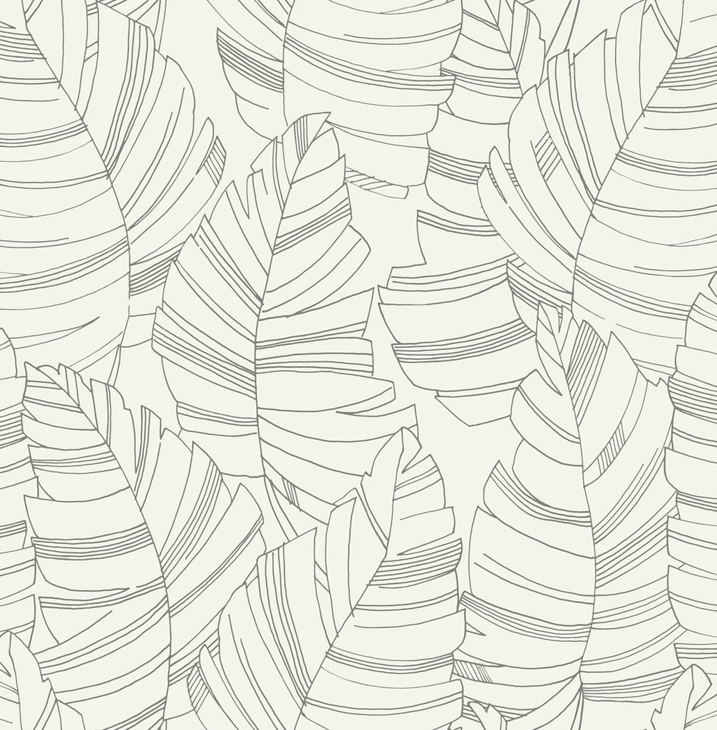 Malibu Jungle Leaves Wallpaper - Contemporary Kids & Nursery - Charcoal | Malibu Wallpaper