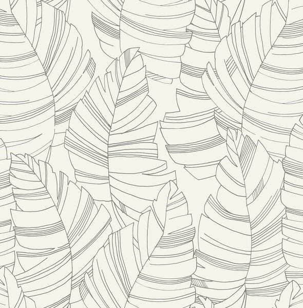 Malibu Jungle Leaves Wallpaper - Contemporary Kids & Nursery - Charcoal | Malibu Wallpaper