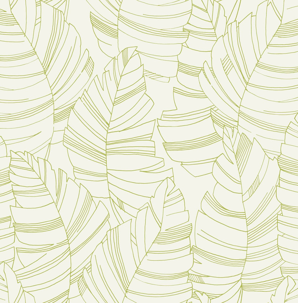 Malibu Jungle Leaves Wallpaper - Contemporary Kids & Nursery - Green Apple | Malibu Wallpaper