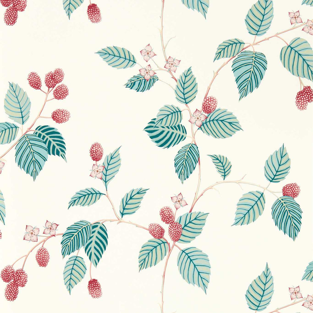 Rubus Raspberry | Sanderson