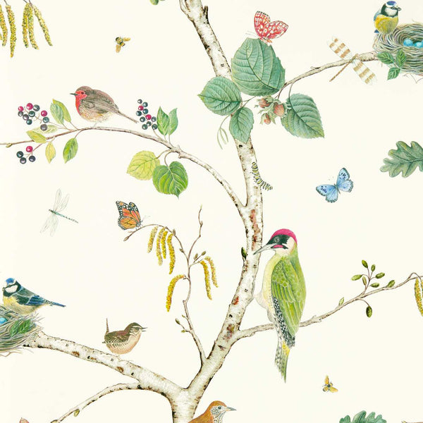 Woodland Chorus Botanical/Multi | Sanderson