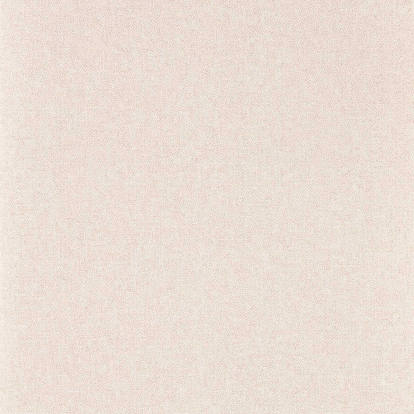 Sessile Plain Wild Rose | Sanderson