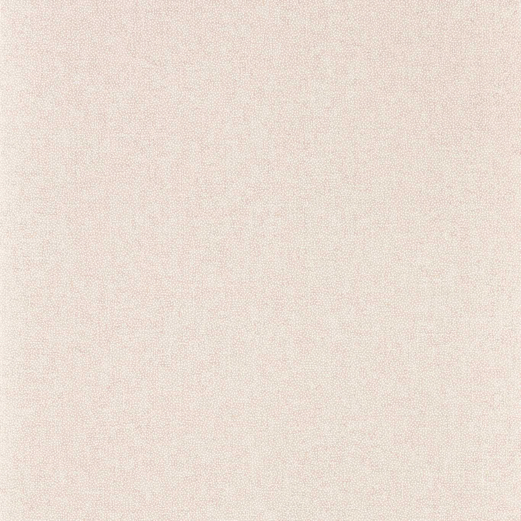 Sessile Plain Wild Rose | Sanderson