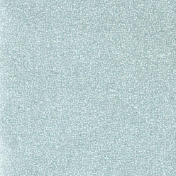 Sessile Plain Indigo | Sanderson