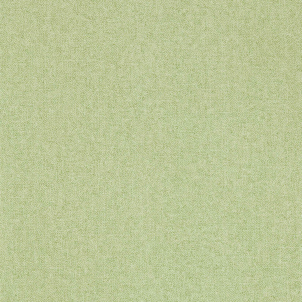 Sessile Plain Moss Green | Sanderson