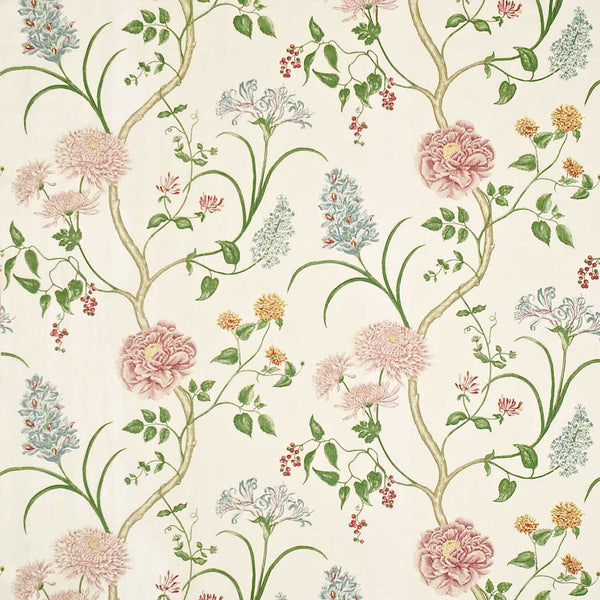 Summer Tree Lilac | Sanderson
