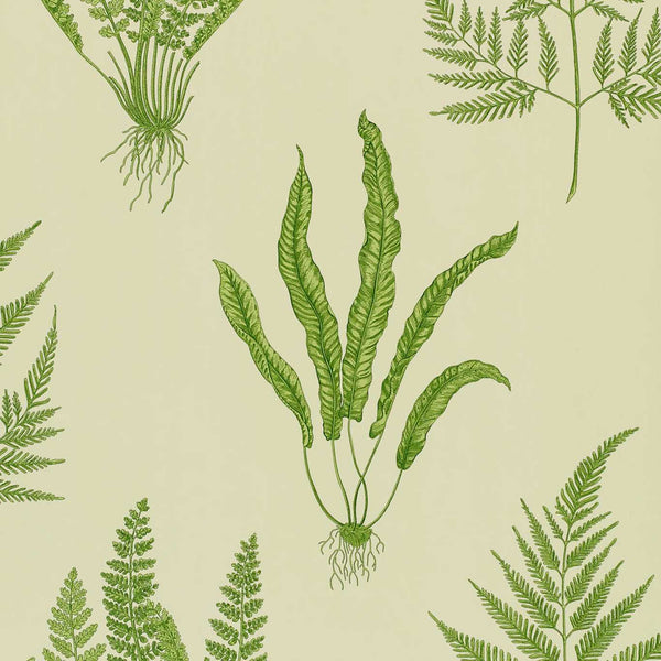 Woodland Ferns Green | Sanderson