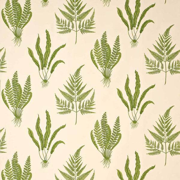 Woodland Ferns Green | Sanderson