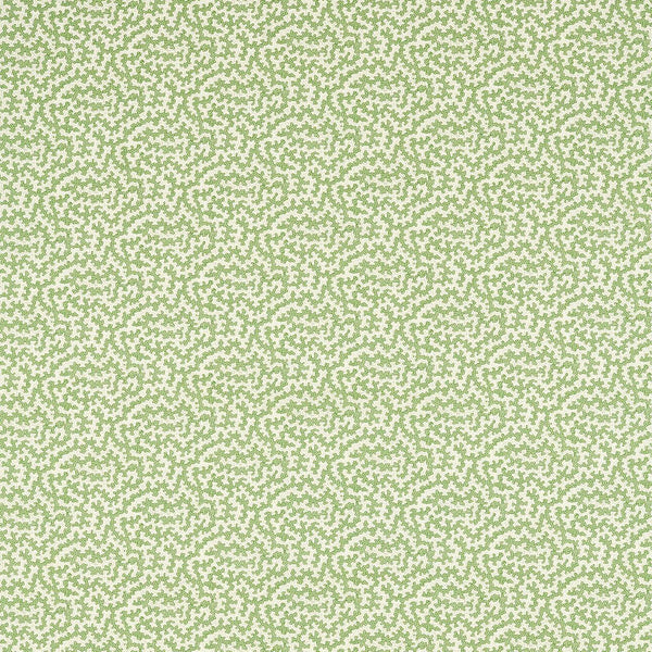 Truffle Sap Green | Sanderson