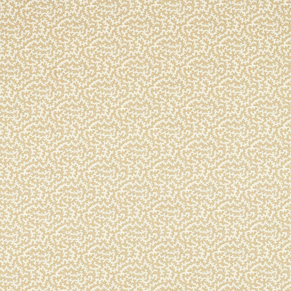 Truffle Wheat | Sanderson