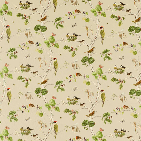 Woodland Chorus Birch/Multi | Sanderson