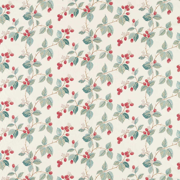 Rubus Raspberry | Sanderson