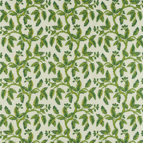 Oaknut Stripe Botanical Green | Sanderson
