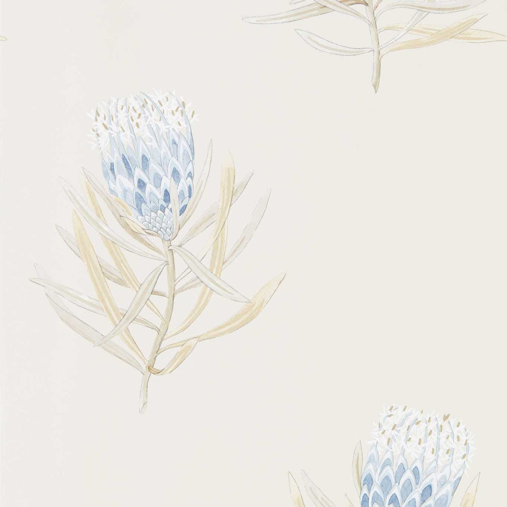 Protea Flower China Blue/Canvas | Sanderson