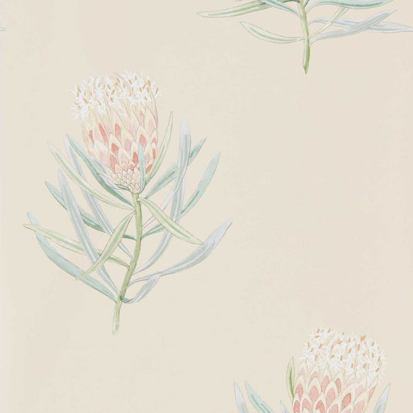 Protea Flower Russet/Green | Sanderson