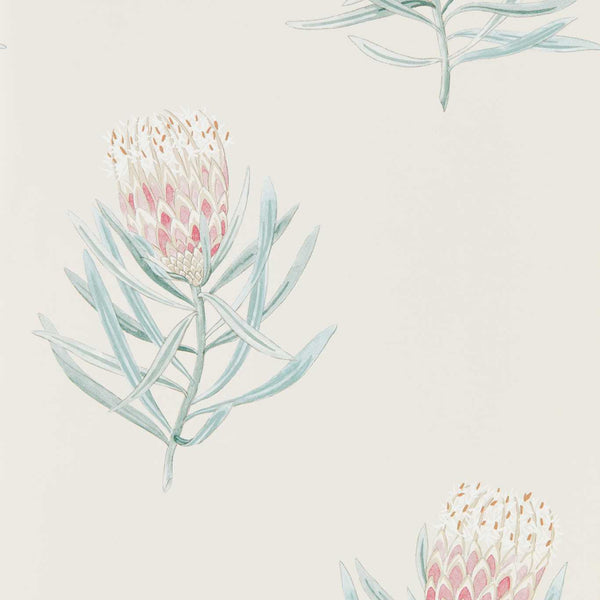 Protea Flower Porcelain/Blush | Sanderson