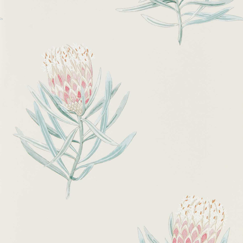 Protea Flower Porcelain/Blush | Sanderson