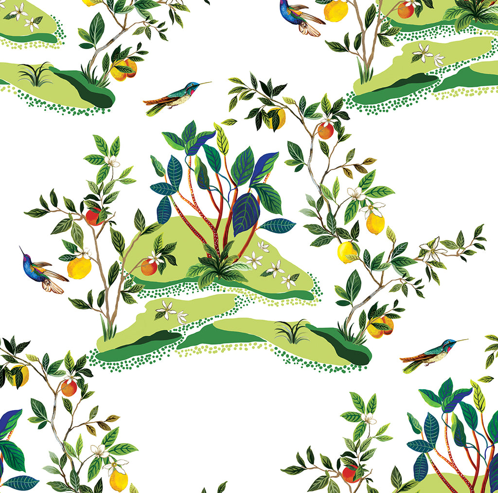 Malibu Citrus Hummingbird Wallpaper - Contemporary Palm Leaf - White | Malibu Wallpaper