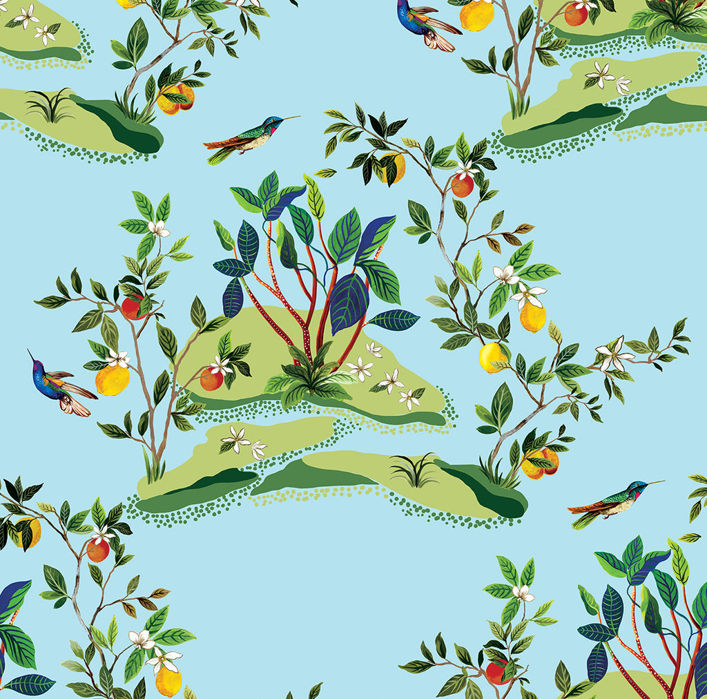 Malibu Citrus Hummingbird Wallpaper - Contemporary Palm Leaf - Sky Blue | Malibu Wallpaper