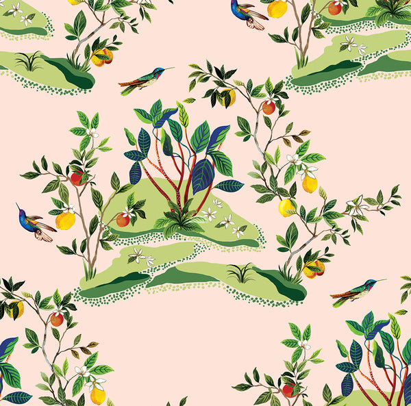 Malibu Citrus Hummingbird Wallpaper - Contemporary Palm Leaf - Blush | Malibu Wallpaper