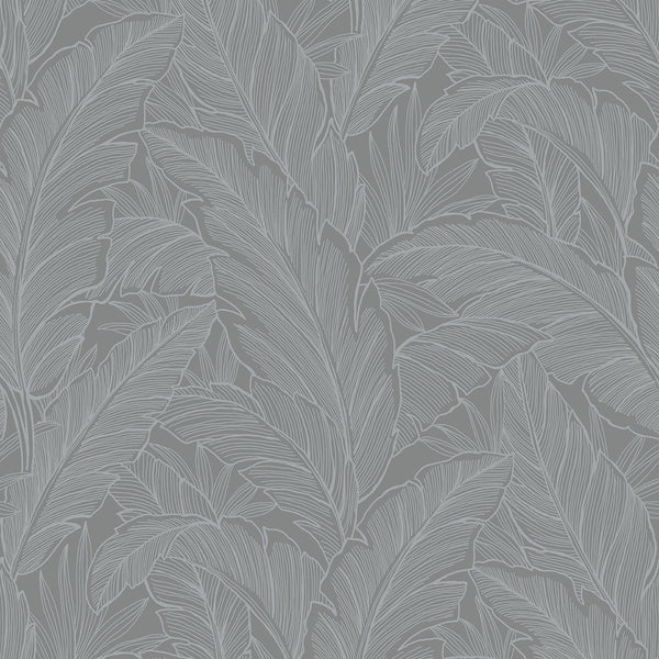 Malibu Deco Banana Leaf Wallpaper - Contemporary Botanical - Slate | Malibu Wallpaper