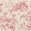 Aesop’S Fables