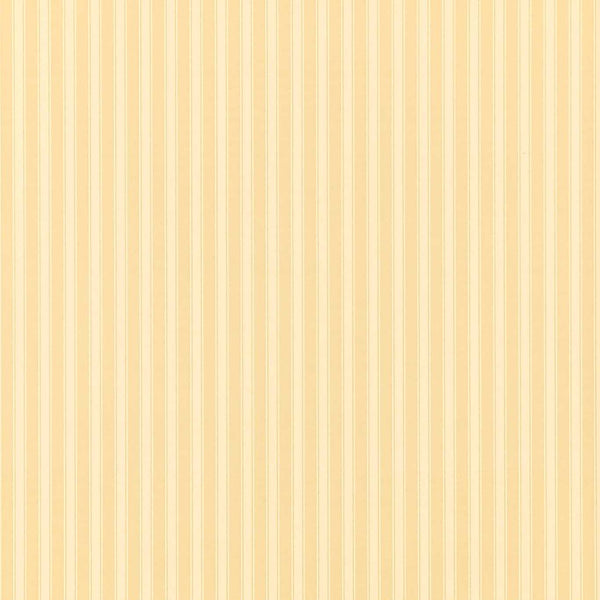 New Tiger Stripe Wallcovering Honey/Cream | Sanderson