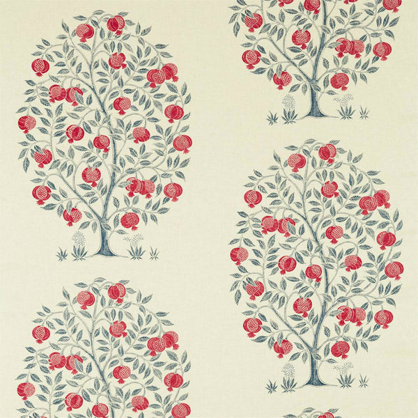 Anaar Tree Blueberry | Sanderson