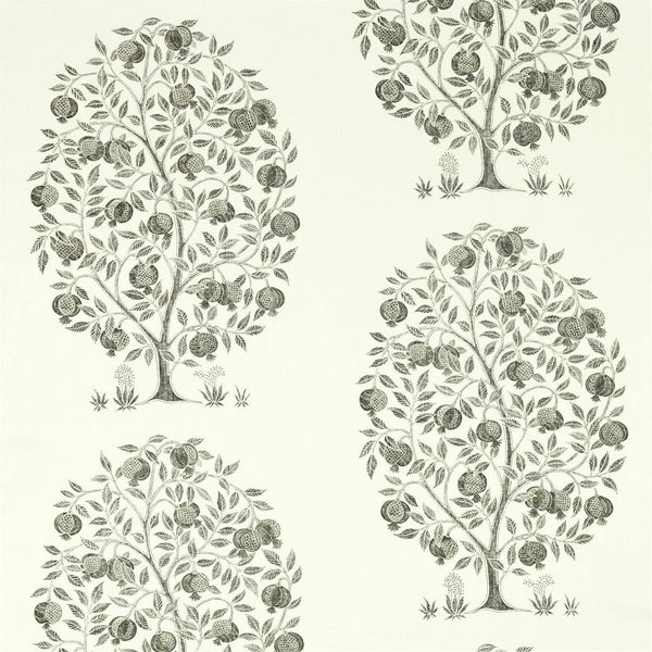 Anaar Tree Charcoal | Sanderson