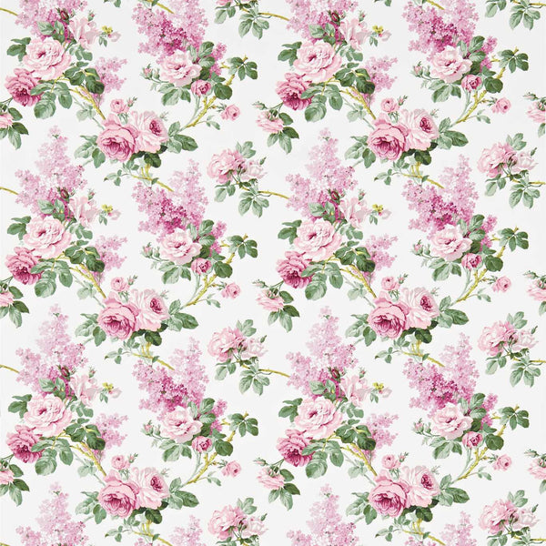 Sorilla Pink/Lilac | Sanderson