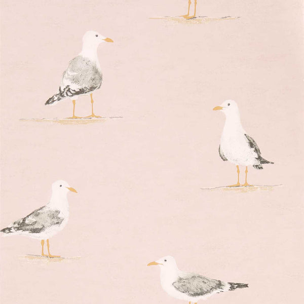 Shore Birds Blush | Sanderson