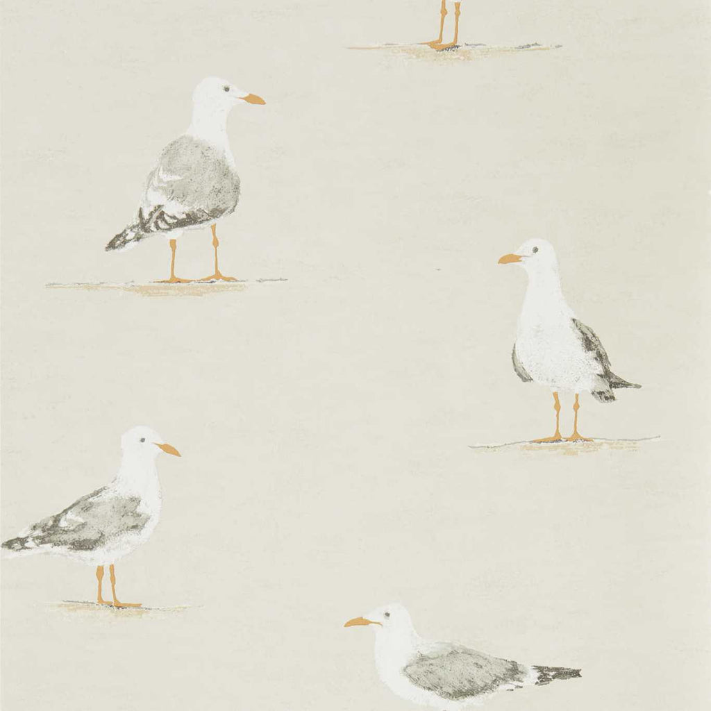 Beach Huts