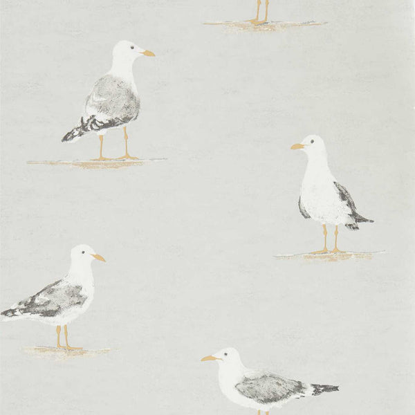 Shore Birds Gull | Sanderson
