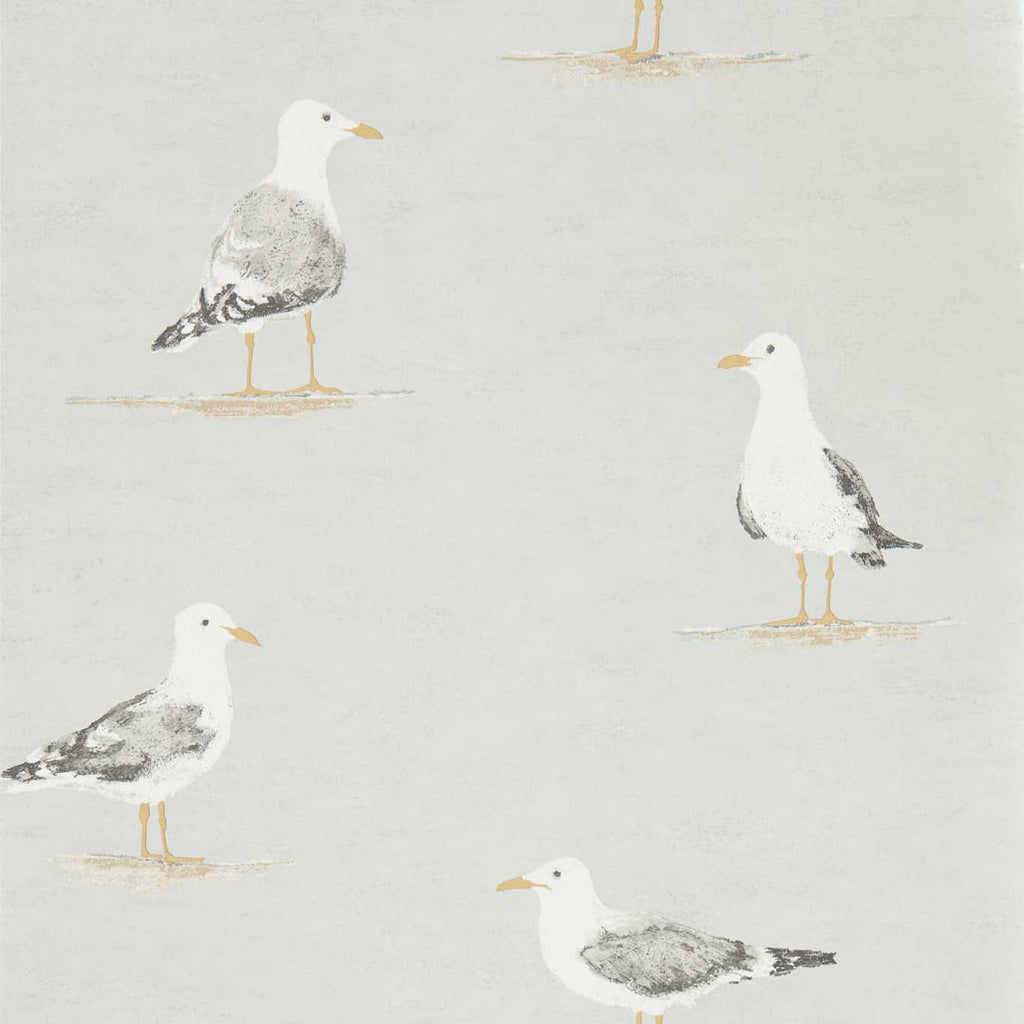 Shore Birds Gull | Sanderson
