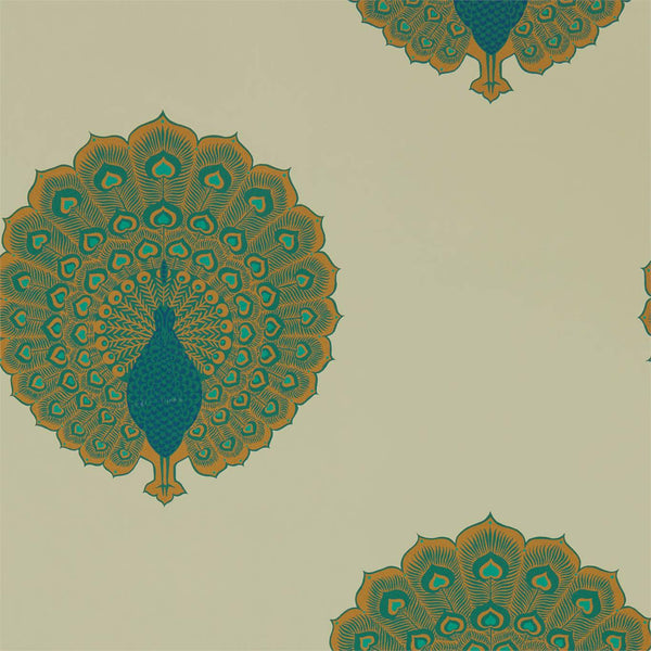 Kalapi Peacock | Sanderson