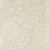 Cantaloupe