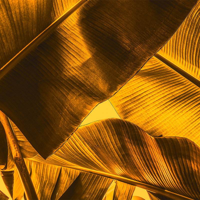 Designwalls - Bronze Brown Wallcovering | AS Creation