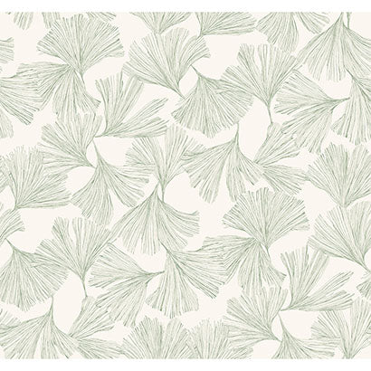 Ginkgo Toss Wallpaper | Jeffrey Stevens